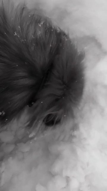 Прощай зима, приходит весна.. смотреть онлайн