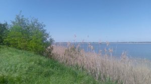 VID_20250506_142544