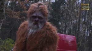 Воплощение в Йетти