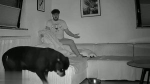 Сабака хочет кушать подьём