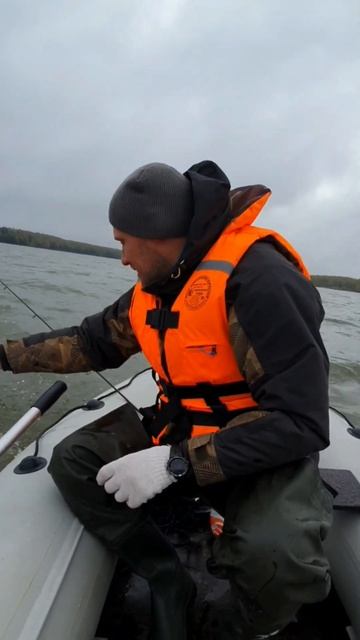 судак на 3кг😁🔥🔥 #рыбалка #судак #сенеж #астрахань #ре смотреть онлайн