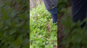 24 часа в Майнкрафте