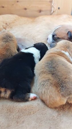 Вот и две недельки позади😊