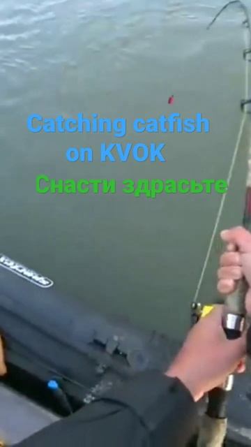 Catching catfish on KVOK снасти здрасьте please subscribe смотреть онлайн