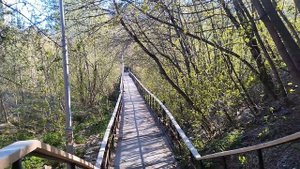 13-05-2025   От  майских   радужных  соцветий