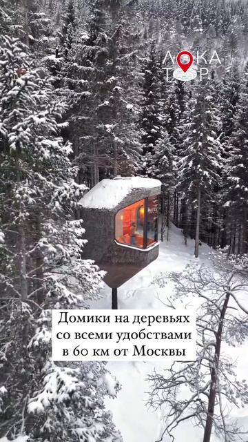 Отель на дереве в Москве! Адрес отеля в описании канал?