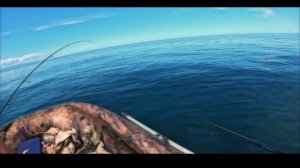 Кета на спиннинг с лодки. Морская рыбалка на Сахалине