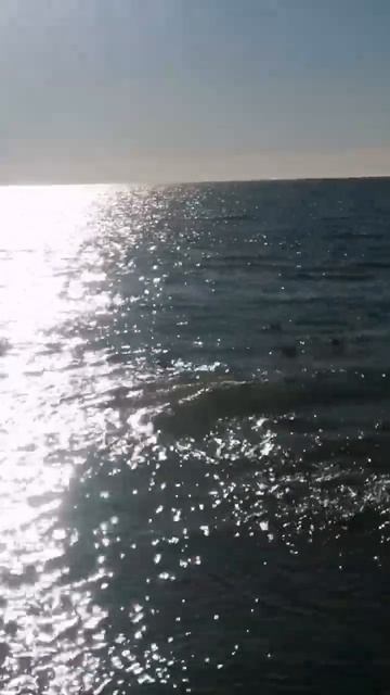 Гостевой дом родина #черное море #чайки смотреть онлайн