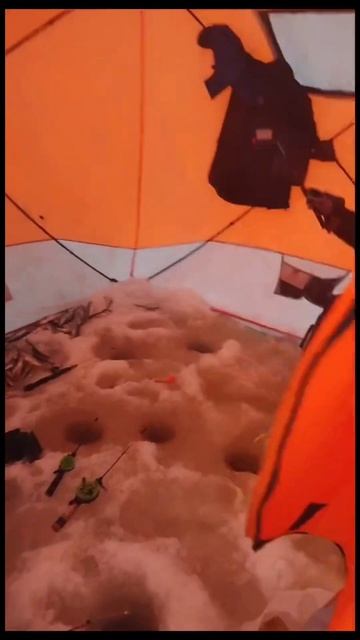 Зимняя рыбалка 🎣 Белое море 🐟#зимняяловлярыбы #бура? смотреть онлайн