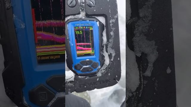 Пытаемся поймать #судака #зимняярыбалка #первыйлед #эх смотреть онлайн