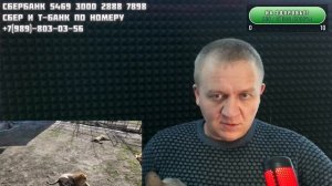 Парк Тайган снова благоухает красными розами гамадрил