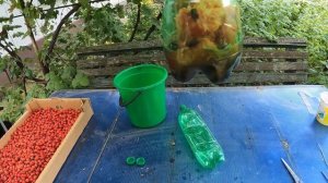 БОРЬБА С ОСАМИ И ШЕРШНЯМИ НА ПАСИКЕ, ПРОСТЕЙШИЙ СПОСОБ!!!