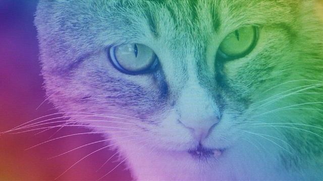 Scratch the Itch   Quincas Moreira #Хип хопирэп#Танцевальное#Басс смотреть онлайн