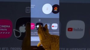 Крутой QLED ТВ на WebOS. Быстрый обзор CARRERA №554