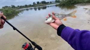 Рибалка та огляд Спінінга Favorite Black Swan BSW1-722UL-HS 2.18m 0.8-6g Ex.F