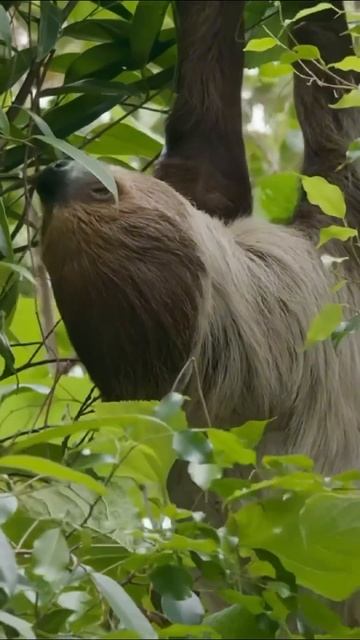Чужая жизнь всегда кажется лучше. Но правда в том, что ? смотреть онлайн