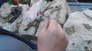 ЖЕРЛИЦА рогатка на щуку своими руками видео Жерлица с?