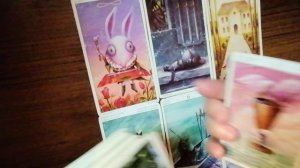 Переговоры в Турции? Россия Украина?