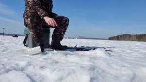 РЫБАЛКА на Белоярском ВОДОХРАНИЛИЩЕ 2024