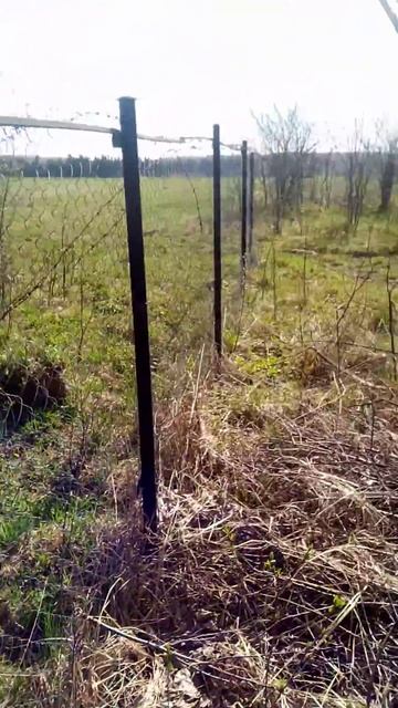 Забор раздора смотреть онлайн