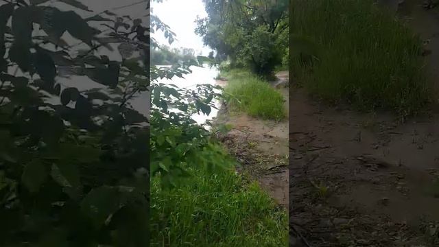 размытие реки Раздольное с.покровка приморский край смотреть онлайн