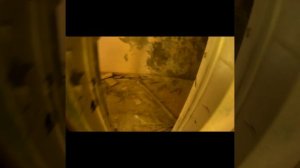 #Short #airsoftrus #Страйкбол Страшные звуки