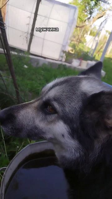 женщина как граната смотреть онлайн