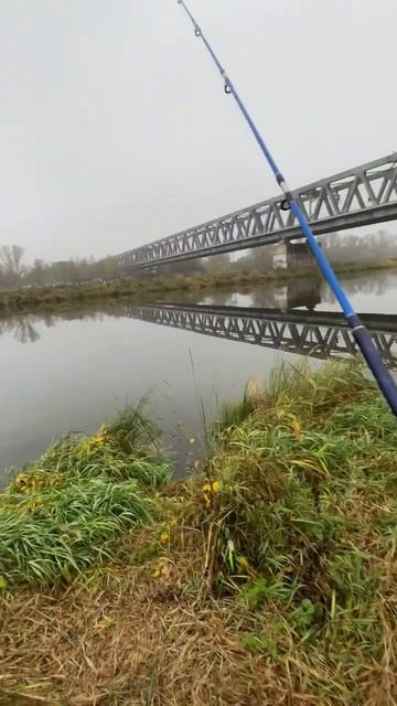 #рыбалка #fishing #elbe #angeln #спиннинг #отдых #природа #рыбалк? смотреть онлайн