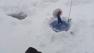 Рыбалка на жерлицы. Оставил на ночь#рыбалка #щука #fishing