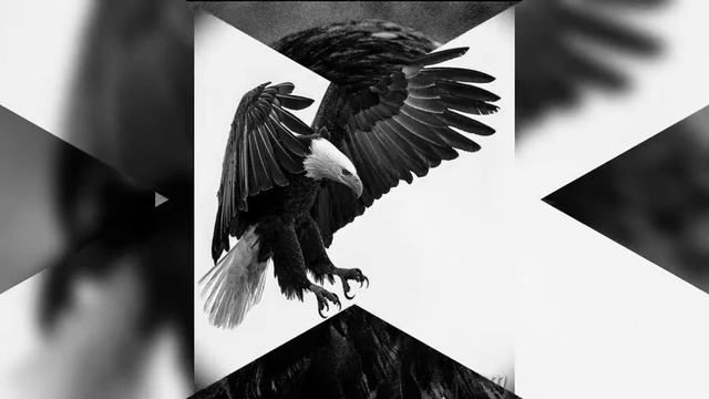 БЕРКУТ матРЭПтрэп казахскийРЭПмузыкаВмашину бассыКАЧАЕТ SPLIT сэмплы phenom СКРИПТОНИТзацени смотреть онлайн