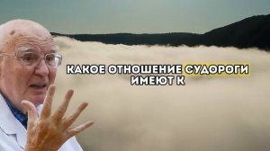 Питание от судорог в ногах - простые продукты, которые лечат. Мышцы и нервы
