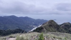 Совместимость женщина-Лев и мужчина-Дева