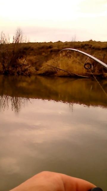 Тариф от Билайн "Рыбный" #рыбалка #fishing смотреть онлайн