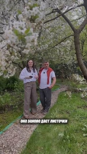 Эта весна не пощадила ни один сад!