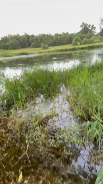 Мембрана в обуви. Зачем она нужна! #fishing #поймалотпусти