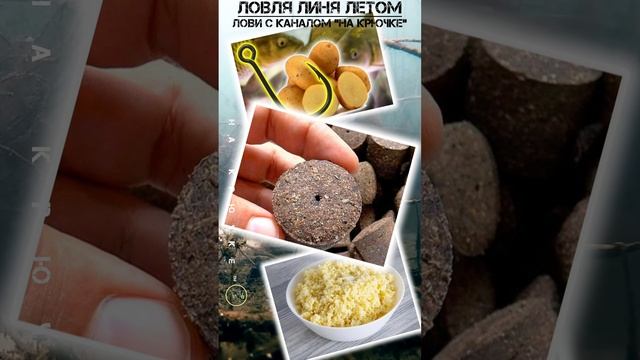 Линь летом-знай это и лови!!! #рыбалка #линь смотреть онлайн