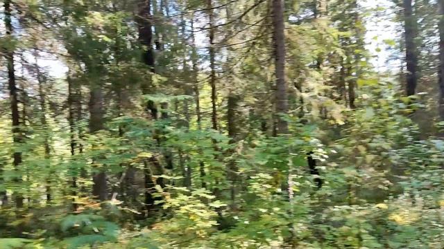 Республика Коми. Часть 5. Рыбалка на реке Печора. Изба в смотреть онлайн