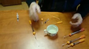 Технофарм  Изделие ШИЛО  Подготовка к работе и типичны