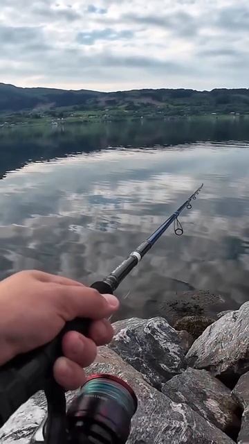 ОПА, ПОКЛЕВКА! Ловля на Воблер в Море! #shorts смотреть онлайн