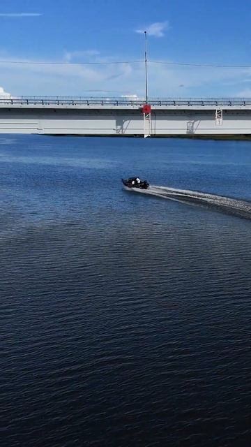 PAL 2024 завершение тренировок 1ТУР #pal2024 #fishing #sport #shorts смотреть онлайн