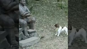 Такая милаха)