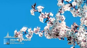 ORACLE & MØØNE – Again [Melodic House ｜ Monstercat]