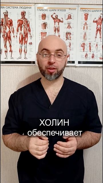 Холин. Польза Яиц. Витамины в Желтке. смотреть онлайн