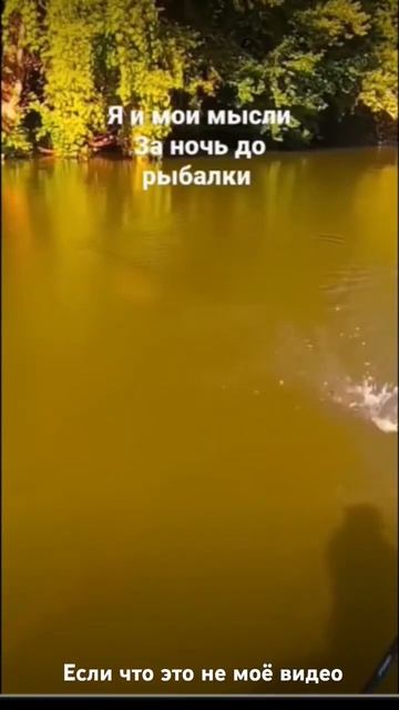 25 января 2025 г. смотреть онлайн