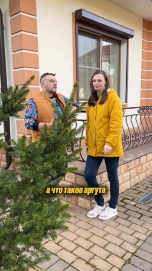 Аргута! ЧТО ЭТО ТАКОЕ…