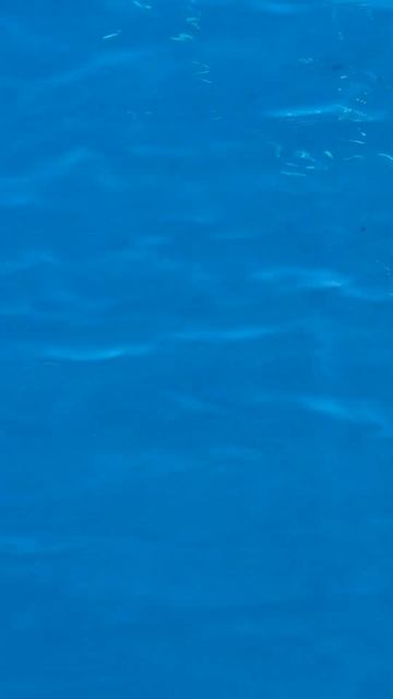 нереальная синева  октябрь 2024 г. смотреть онлайн