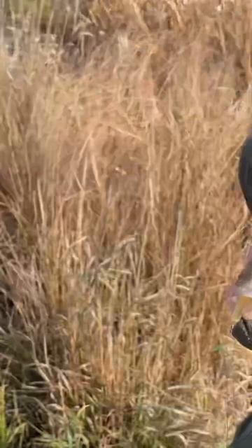 Рыбаки подпишутся на канал!!#рыбалка #fishing #щука #рыбак смотреть онлайн