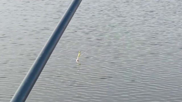 Сезон летней рыбалки 2024 года закрываем. смотреть онлайн