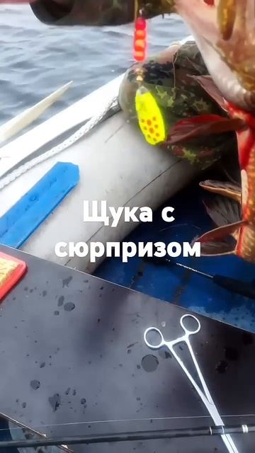 Осенняя рыбалка в Карелии смотреть онлайн