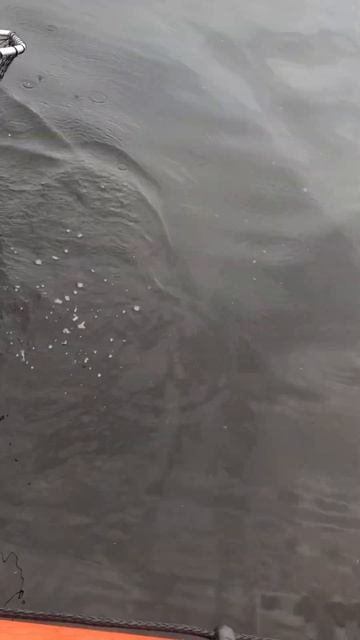 #лето#дед#отец#сын#рыбалка смотреть онлайн